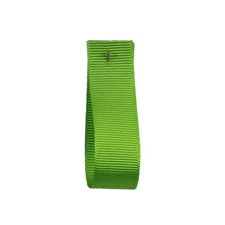 Berisfords Grosgrain Ribbon in Flo Green 6847